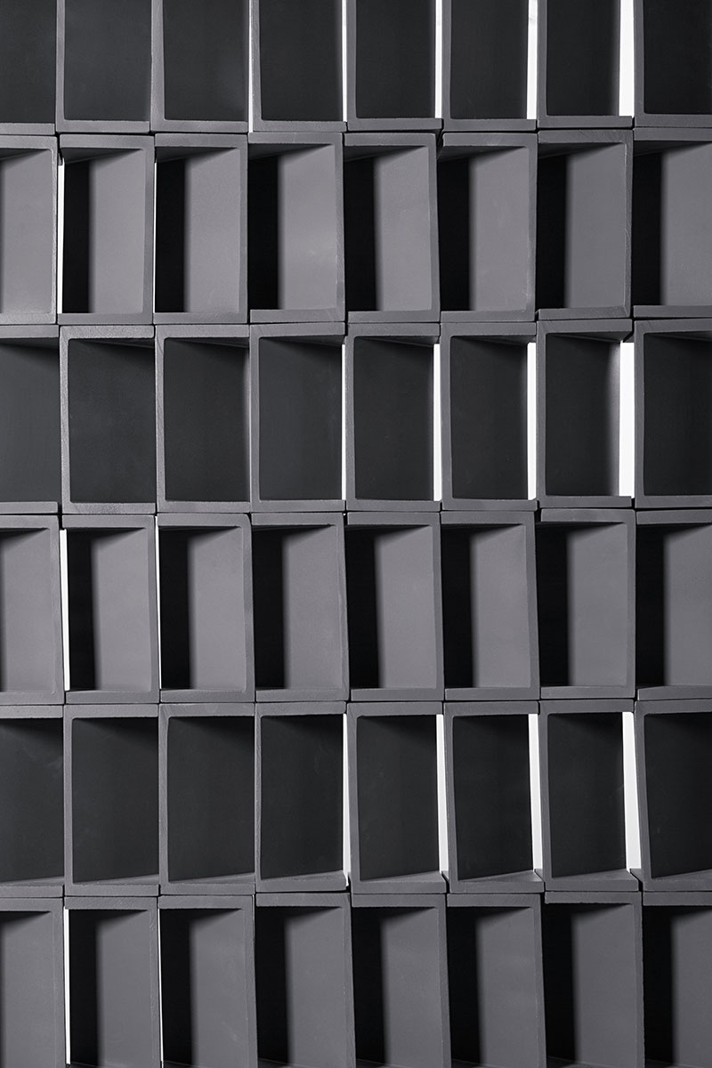 בריקים שחורים 